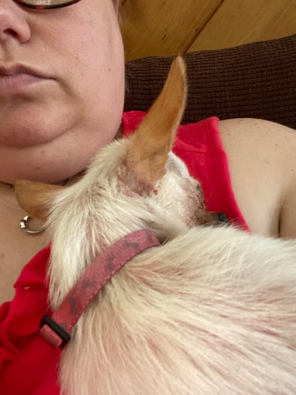 Chiquita photo 5