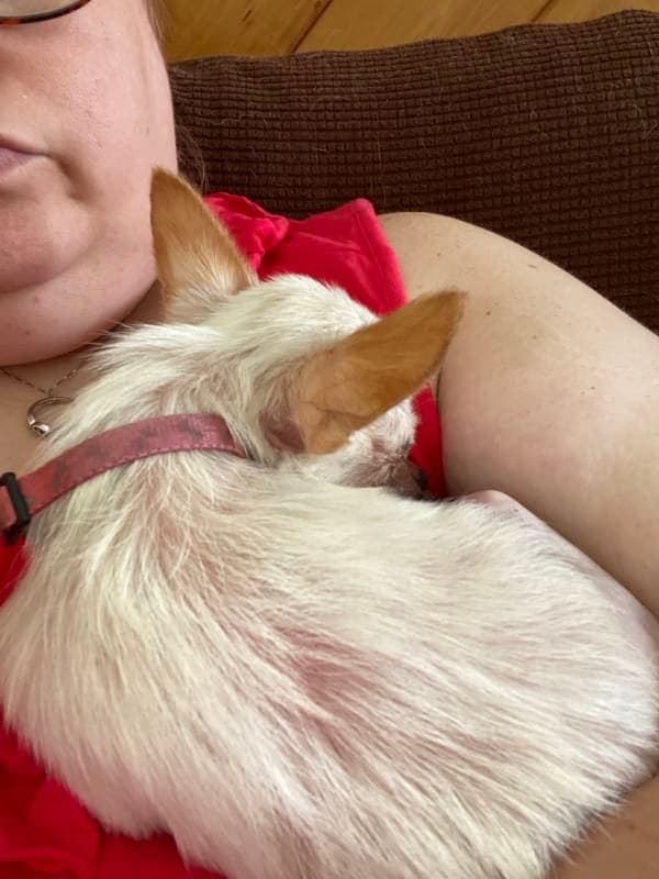 Chiquita photo 6