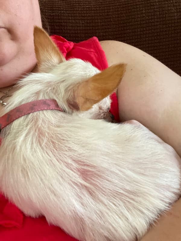 Chiquita photo 7