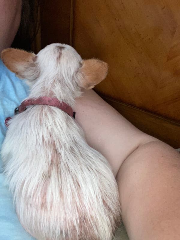 Chiquita photo 8
