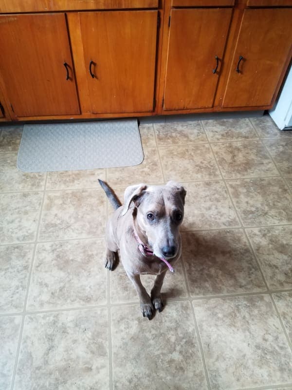 Trixie photo 3