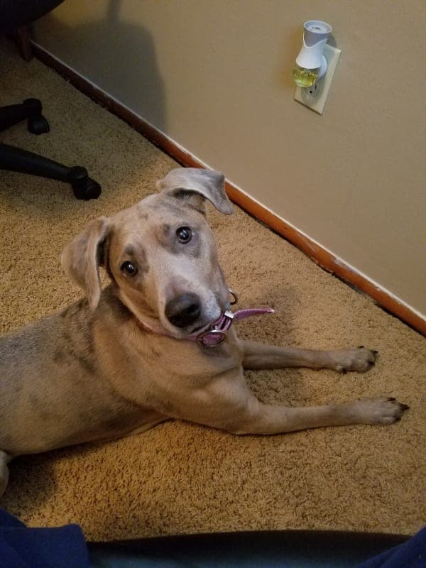 Trixie photo 7