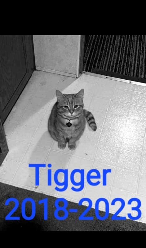 Tigger