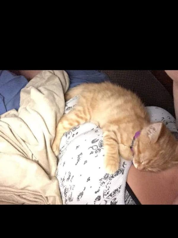 Tigger photo 2
