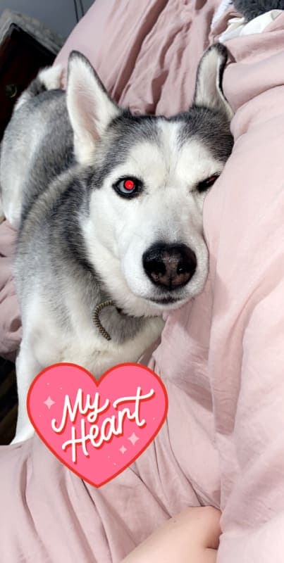 Sophie photo 4