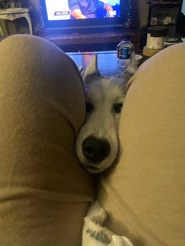 Sophie photo 7