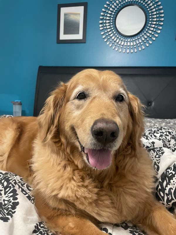 Winston