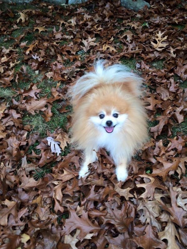 Baci photo 7