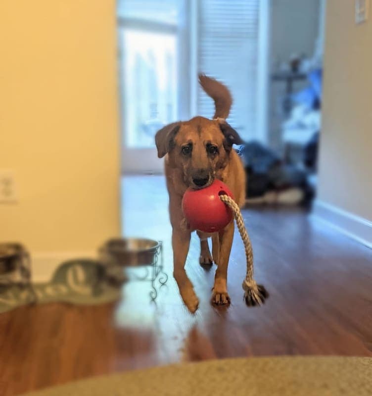 Wilson photo 9