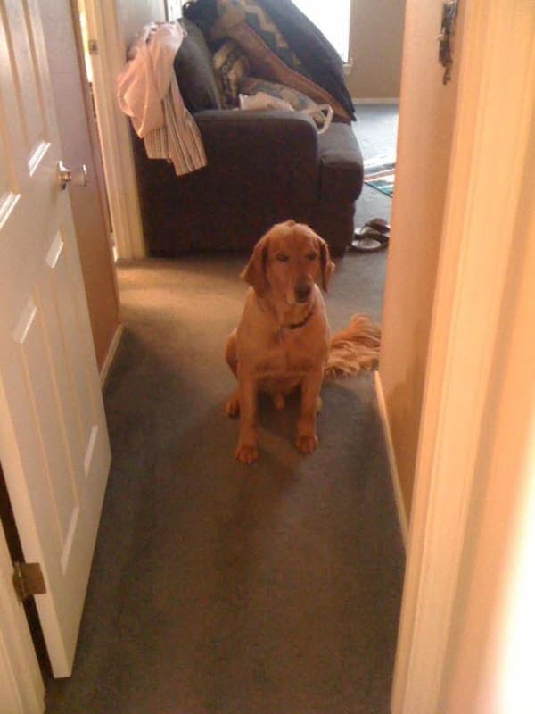 Nico