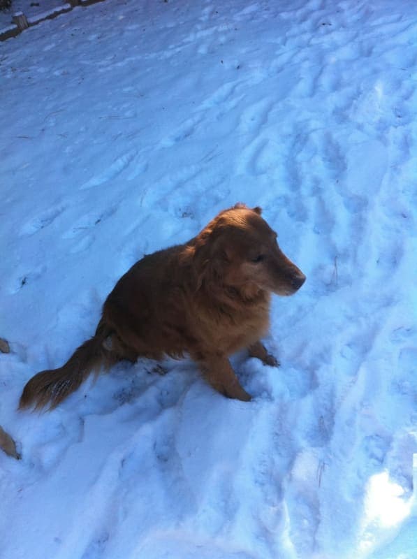 Nico photo 2