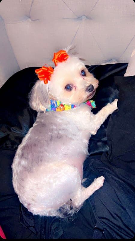 Nevaeh photo 5