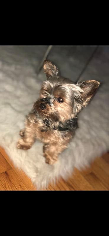 Milo