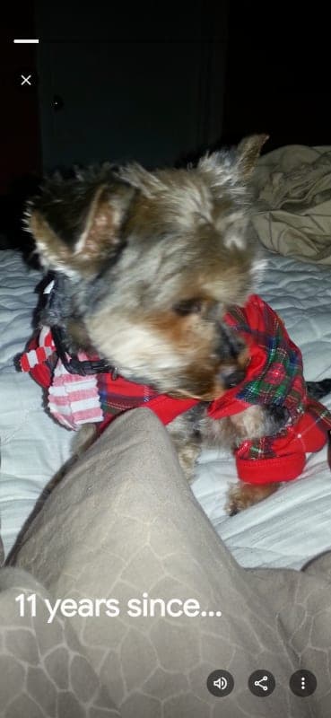 Milo photo 2