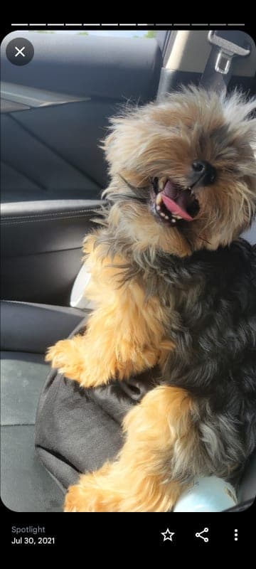 Milo photo 6