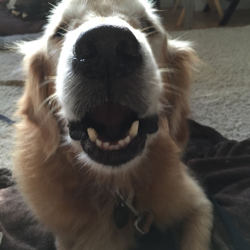 Chance photo 5