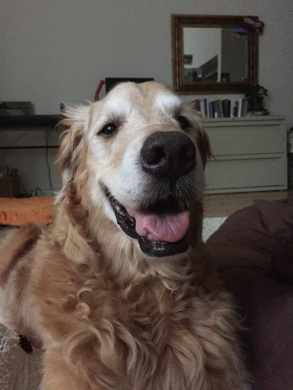 Chance photo 9