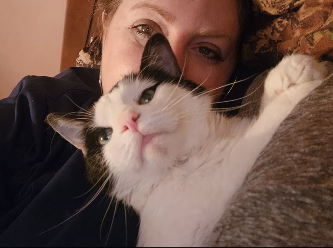 Kitty photo 4