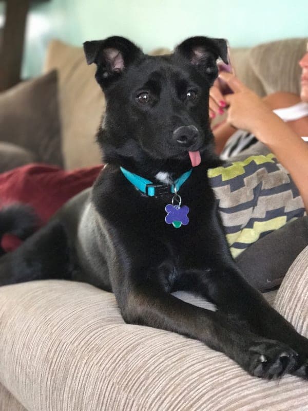 Finn photo 2