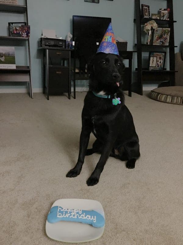 Finn photo 3