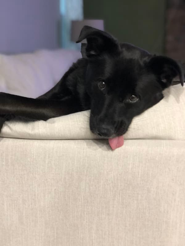 Finn photo 4