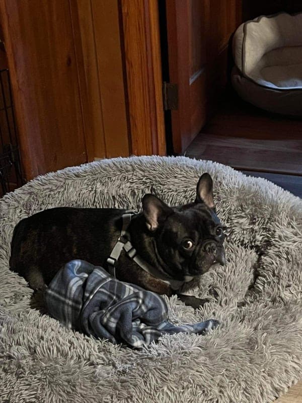 Jasper photo 2