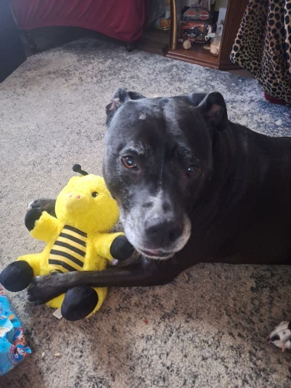 Lexi photo 2