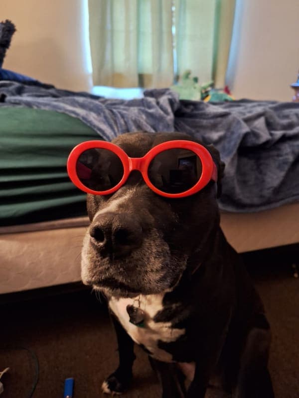 Lexi photo 3