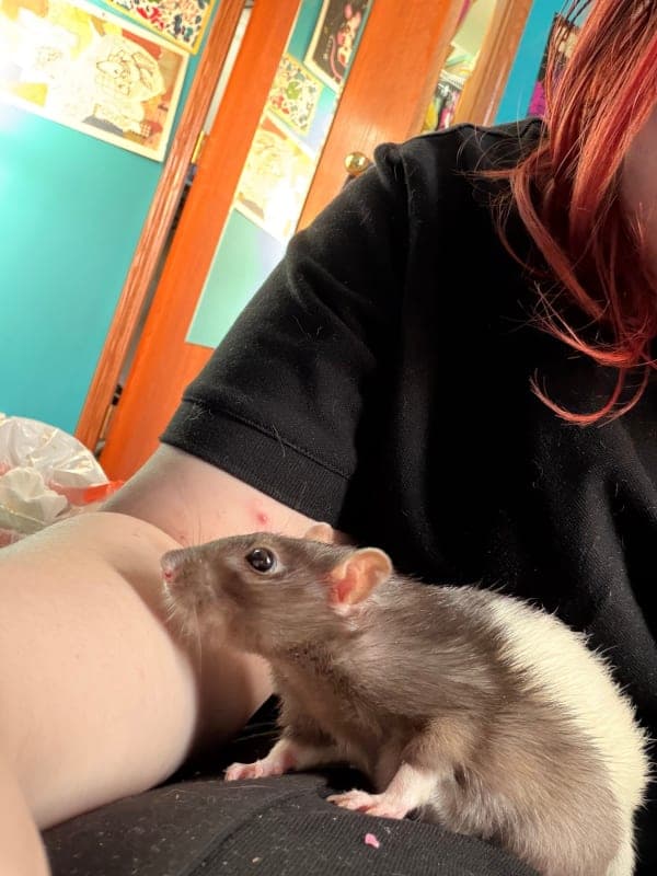 Pepper photo 4