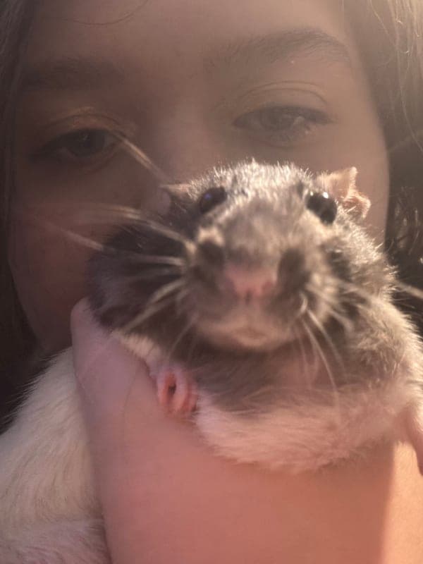 Pepper photo 5