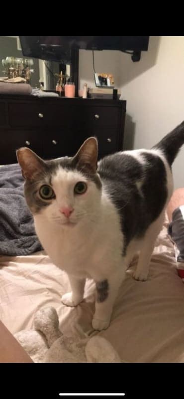 Ernie