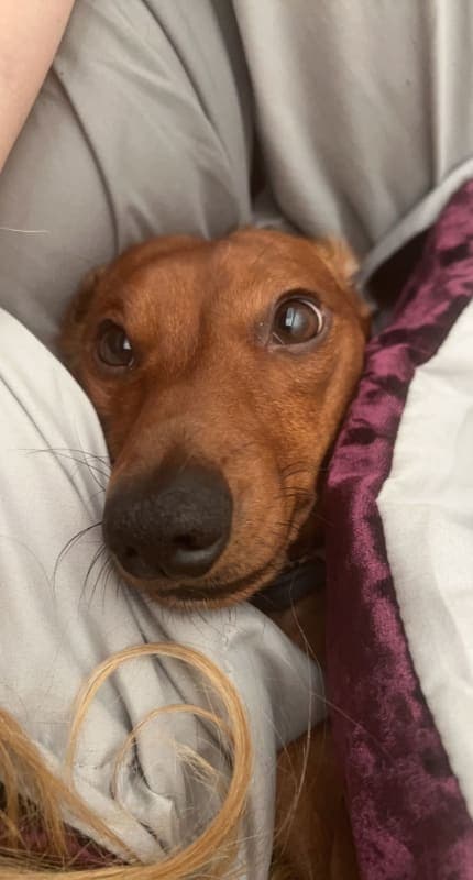Woody photo 3