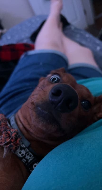 Woody photo 4