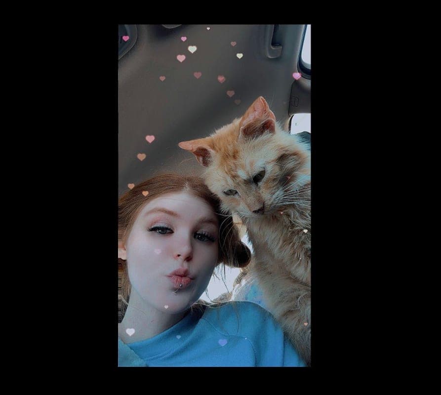 Cheese (Garfield)