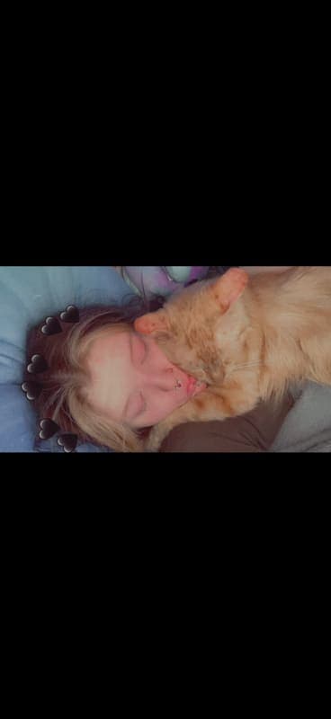 Cheese (Garfield) photo 3