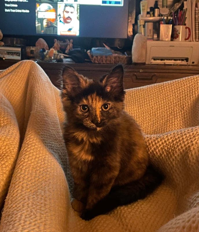 Coco
