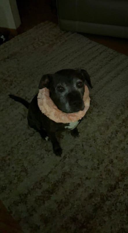 Xena photo 2