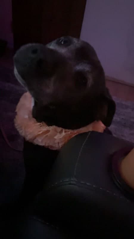 Xena photo 5