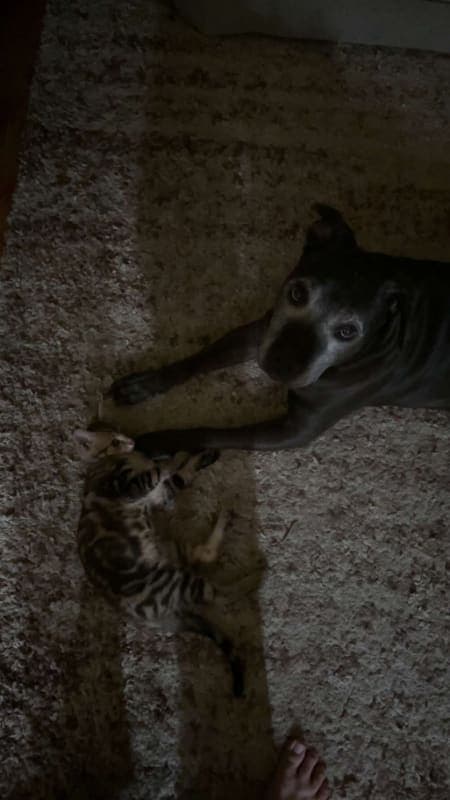 Xena photo 7