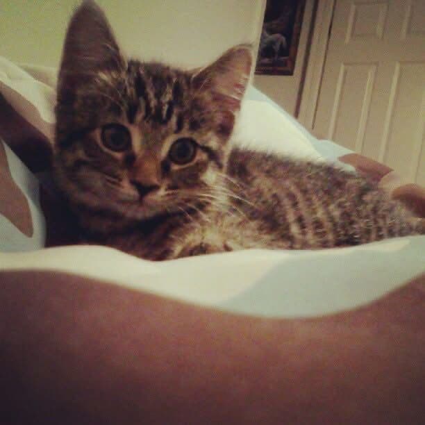 Savannah (Aka Nonners) photo 7